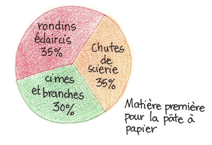 Répartition de la matière première pour la pâte à papier