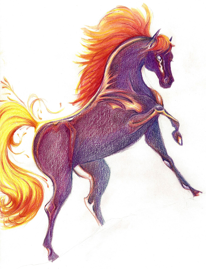 Cheval réalisé au Polychromos de Faber Castell