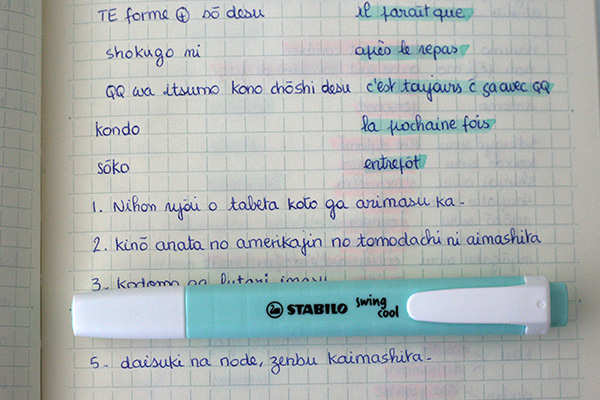 Ecriture Stabilo Swing Cool