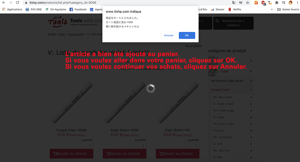 Fenêtre après mise au panier chez Tools